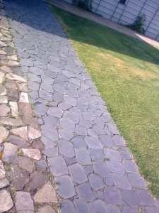 Čedič